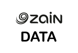  ZAIN DATA