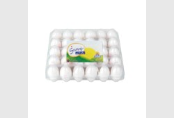 بيض  صنى Sunny Eggs 