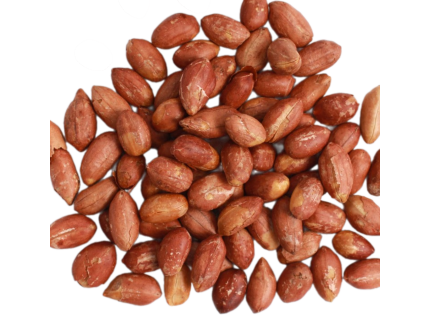 فستق عبيد 